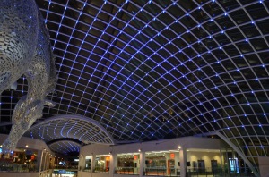 The roof at Leeds Trinity